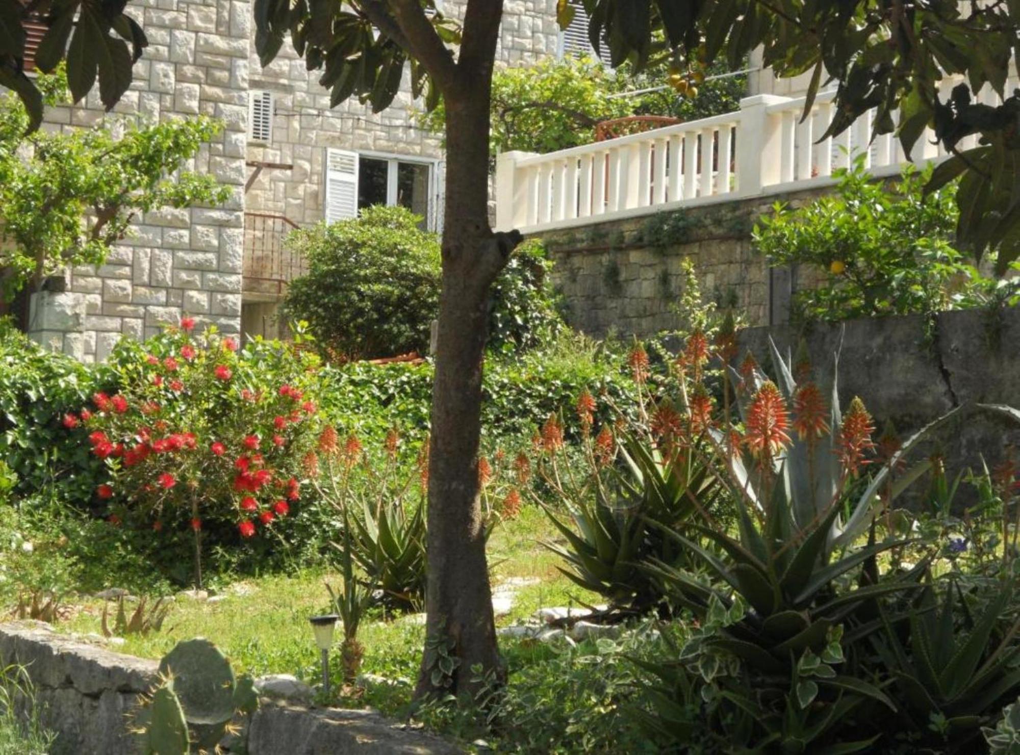 Apartment Plaza Korčula Exteriér fotografie